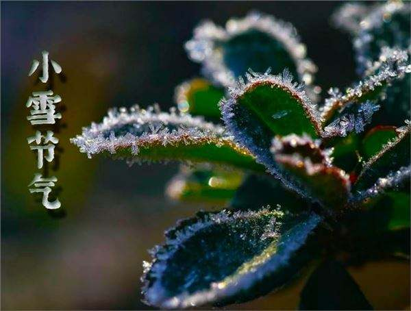 小雪已至|冬治白癜风疗效加倍 激活“冬眠”的黑色素!